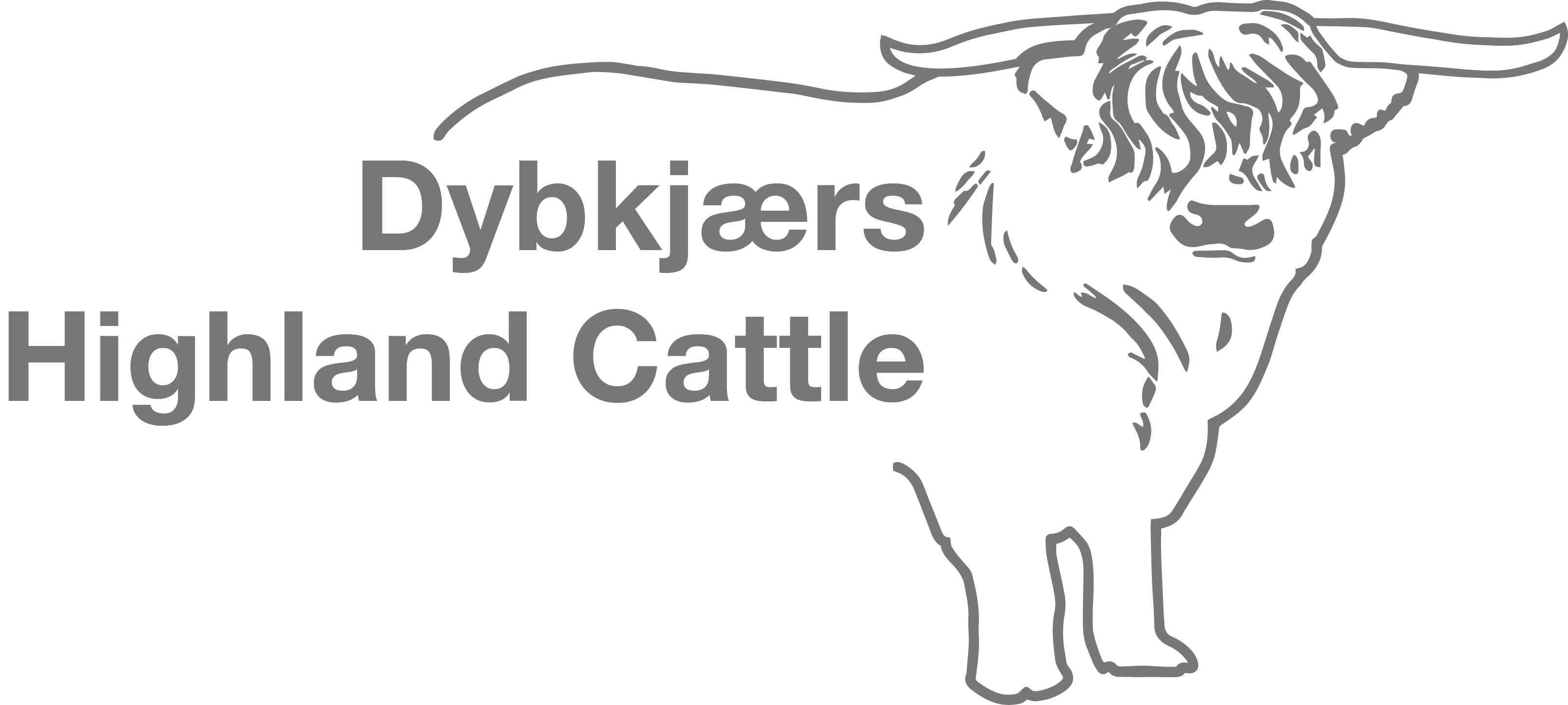 Dybkjærs Highland cattle logo